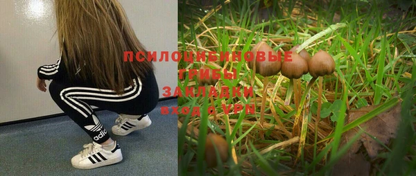 ГАЛЛЮЦИНОГЕННЫЕ ГРИБЫ Алексеевка