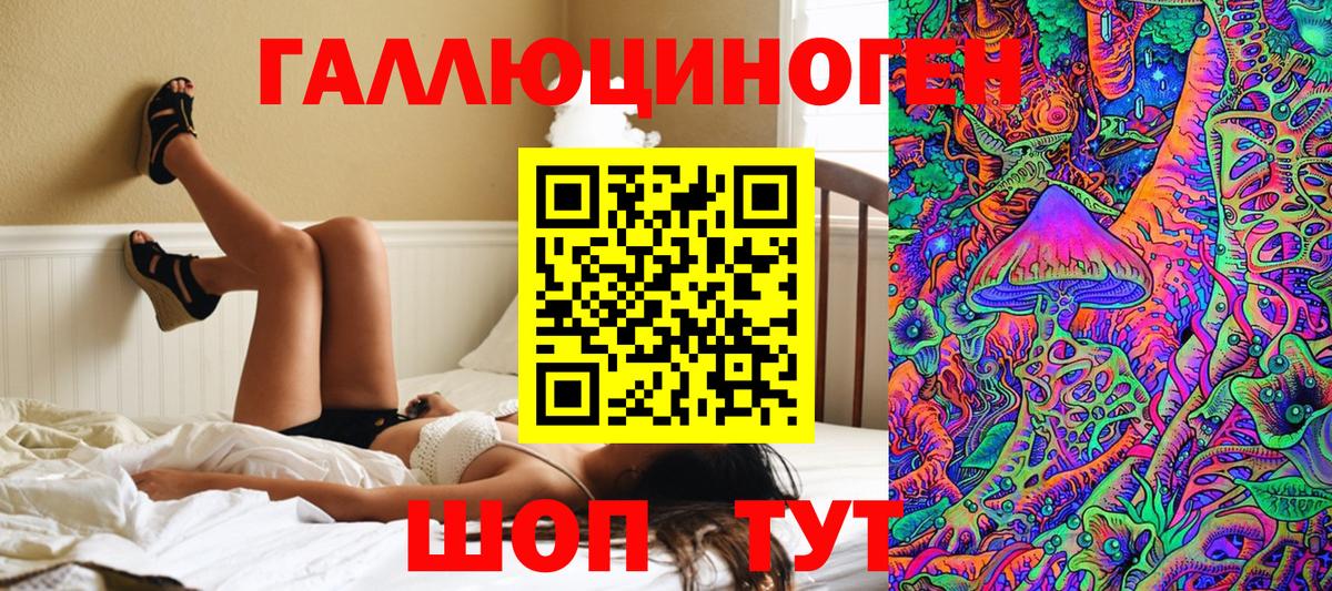 Мыски  Псилоцибиновые грибы Psilocybine cubensis  Вход с VPN  Галлюциногенные грибы MAGIC MUSHROOMS 